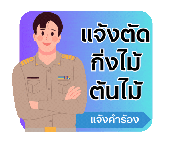 ตัดแต่งกิ่งไม้