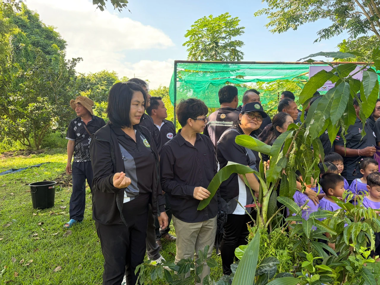 catalogs_file_903_44_29_143948.webp